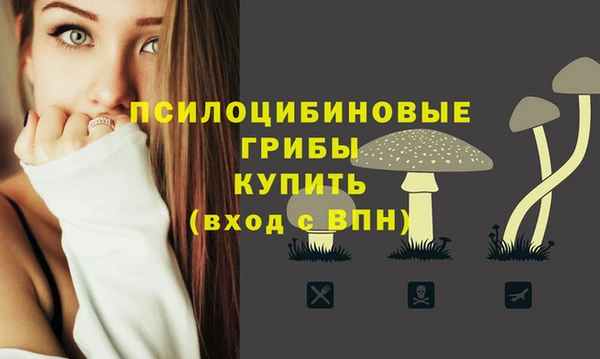 гидропоника Алексин