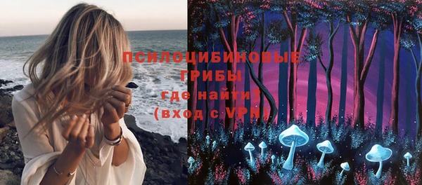 бошки Алексеевка