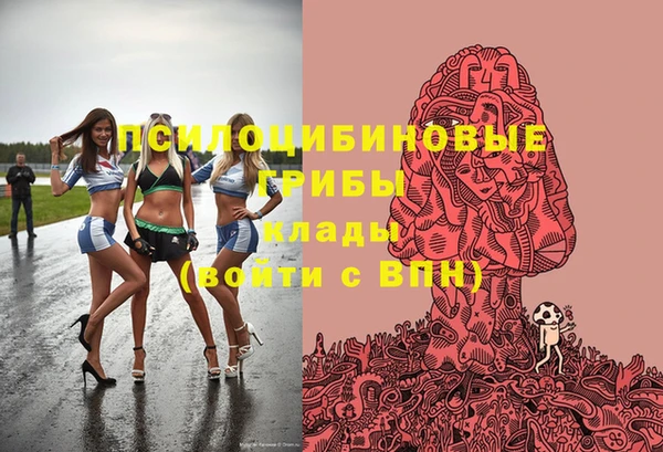 бошки Алексеевка