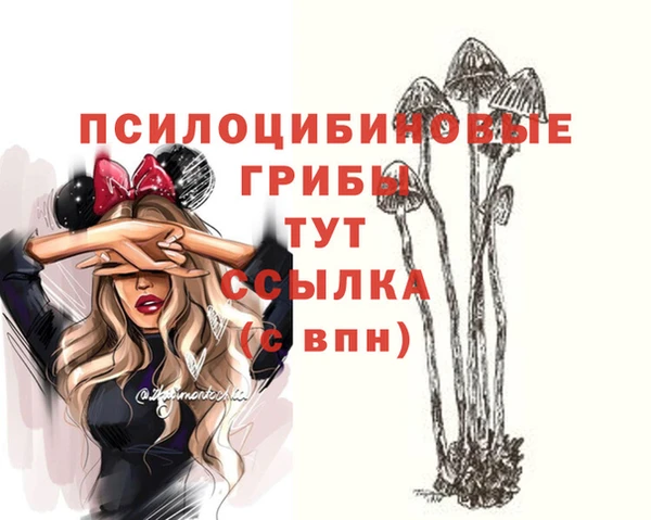 бошки Алексеевка