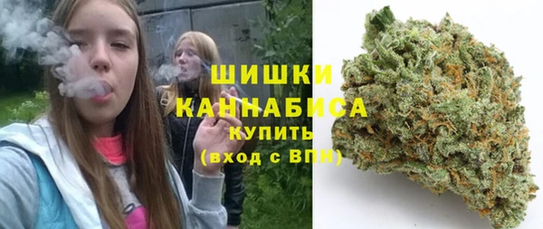 соль ск Алзамай