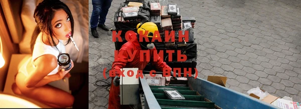 соль ск Алзамай